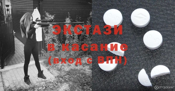 индика Аркадак