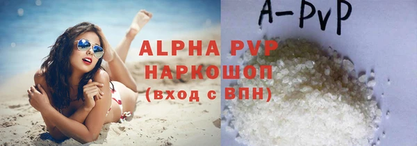 индика Аркадак