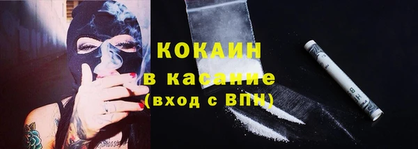 индика Аркадак