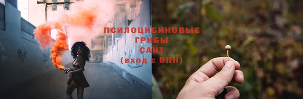 a pvp Арсеньев