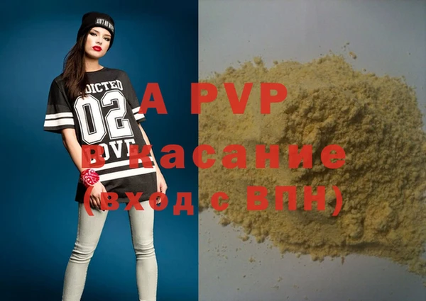 индика Аркадак