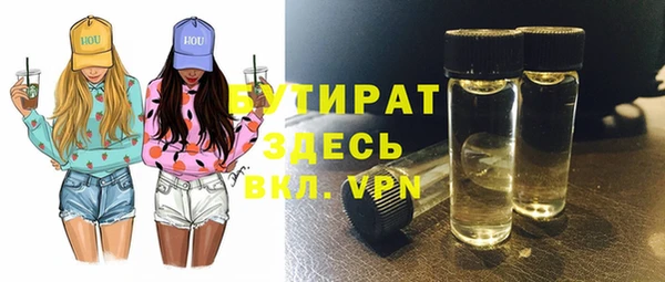 индика Аркадак