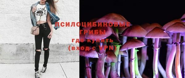 a pvp Арсеньев