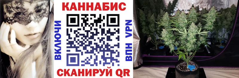 Каннабис план  MEGA как войти  Ивдель  магазин  наркотиков 